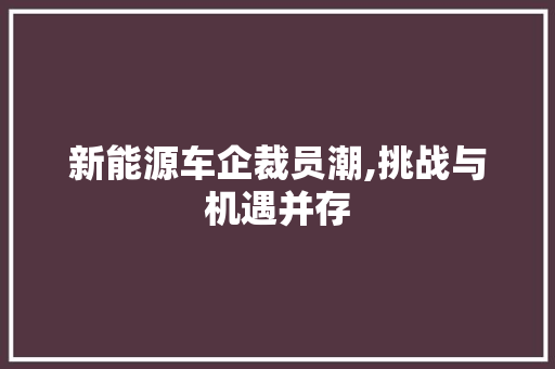 新能源车企裁员潮,挑战与机遇并存