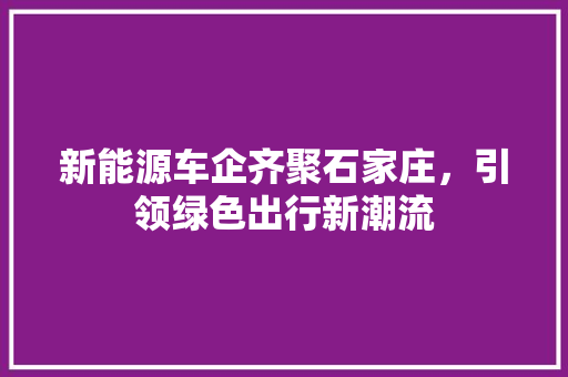 新能源车企齐聚石家庄，引领绿色出行新潮流 智能驾驶