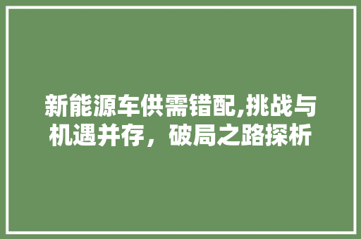 新能源车供需错配,挑战与机遇并存，破局之路探析