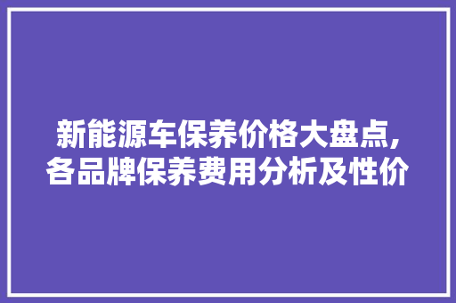 新能源车保养价格大盘点,各品牌保养费用分析及性价比对比