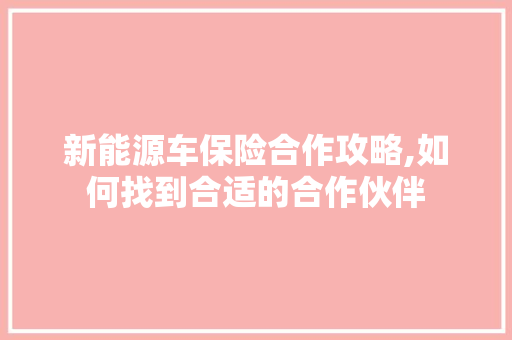 新能源车保险合作攻略,如何找到合适的合作伙伴