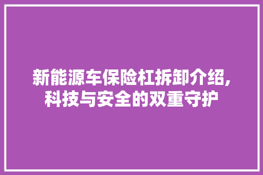 新能源车保险杠拆卸介绍,科技与安全的双重守护