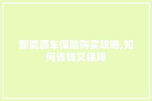 新能源车保险购买攻略,如何省钱又保障
