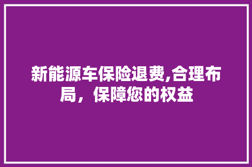 新能源车保险退费,合理布局，保障您的权益