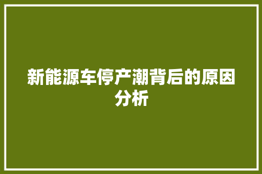 新能源车停产潮背后的原因分析 混合动力车