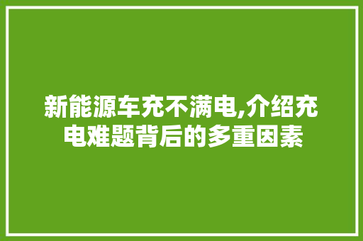 新能源车充不满电,介绍充电难题背后的多重因素