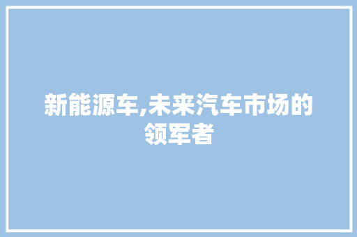 新能源车,未来汽车市场的领军者 新车资讯
