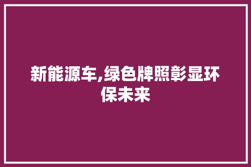 新能源车,绿色牌照彰显环保未来 车联网技术