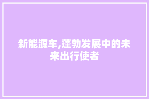 新能源车,蓬勃发展中的未来出行使者 新车资讯