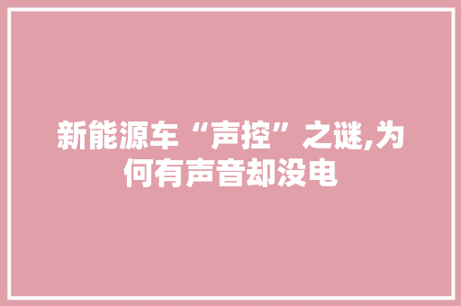 新能源车“声控”之谜,为何有声音却没电