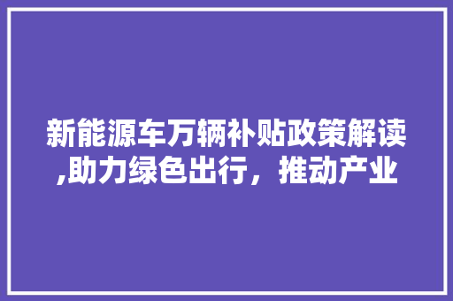 新能源车万辆补贴政策解读,助力绿色出行，推动产业升级