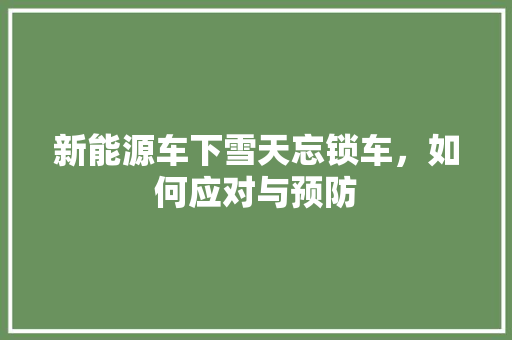 新能源车下雪天忘锁车，如何应对与预防