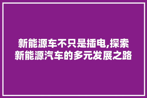 新能源车不只是插电,探索新能源汽车的多元发展之路