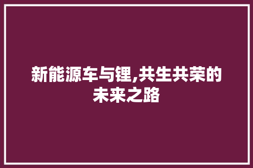 新能源车与锂,共生共荣的未来之路