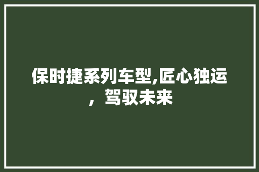 保时捷系列车型,匠心独运，驾驭未来