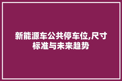 新能源车公共停车位,尺寸标准与未来趋势