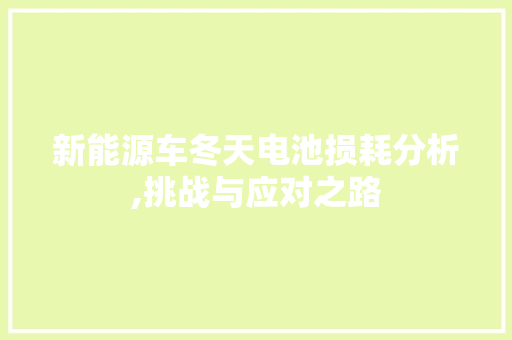 新能源车冬天电池损耗分析,挑战与应对之路