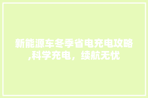 新能源车冬季省电充电攻略,科学充电，续航无忧 智能驾驶