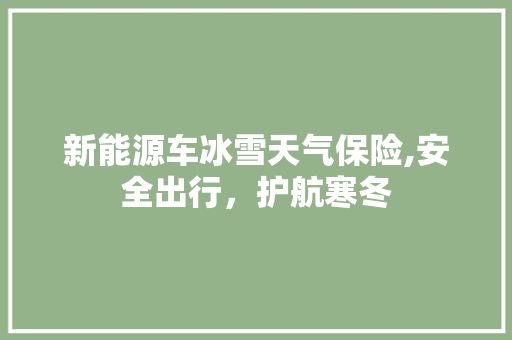 新能源车冰雪天气保险,安全出行，护航寒冬