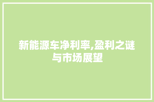 新能源车净利率,盈利之谜与市场展望