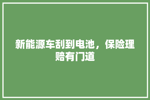 新能源车刮到电池，保险理赔有门道