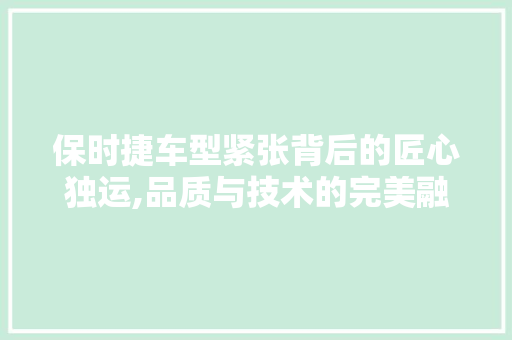 保时捷车型紧张背后的匠心独运,品质与技术的完美融合