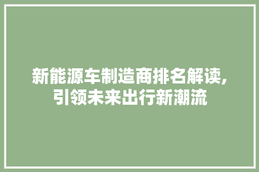 新能源车制造商排名解读,引领未来出行新潮流