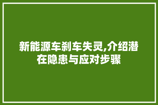新能源车刹车失灵,介绍潜在隐患与应对步骤 车载导航