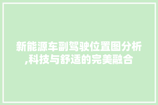 新能源车副驾驶位置图分析,科技与舒适的完美融合
