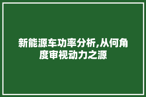 新能源车功率分析,从何角度审视动力之源