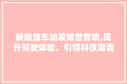 新能源车加装博世音响,提升驾驶体验，引领科技潮流