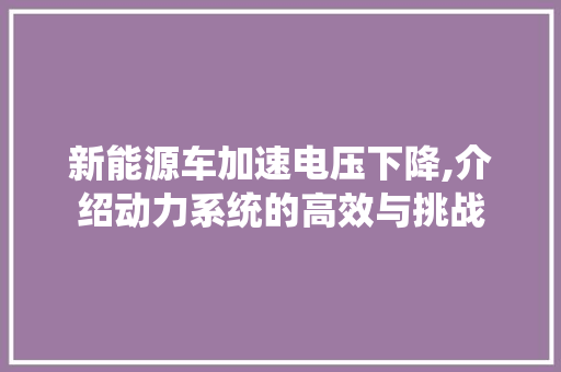 新能源车加速电压下降,介绍动力系统的高效与挑战