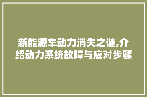 新能源车动力消失之谜,介绍动力系统故障与应对步骤