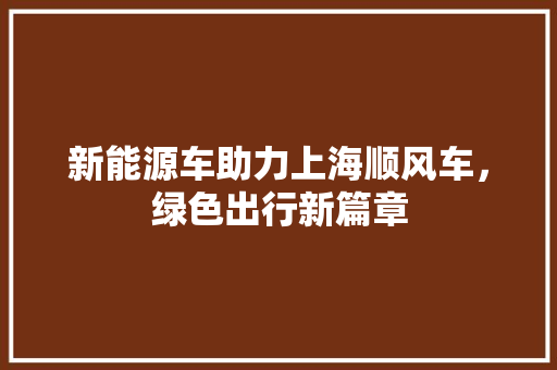 新能源车助力上海顺风车，绿色出行新篇章 汽车轮胎