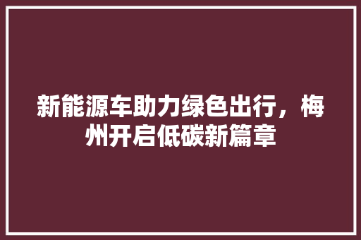 新能源车助力绿色出行，梅州开启低碳新篇章