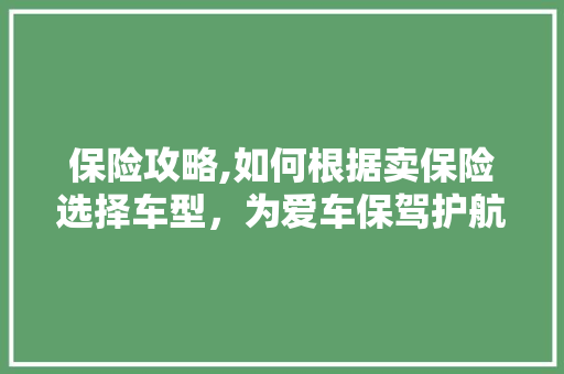 保险攻略,如何根据卖保险选择车型，为爱车保驾护航
