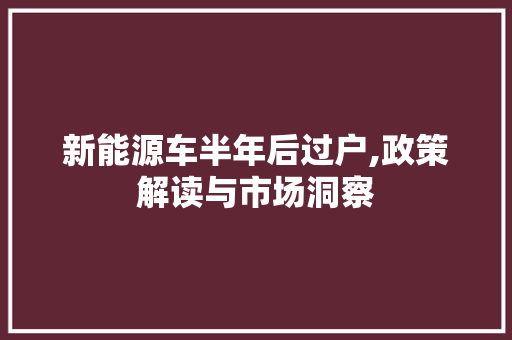 新能源车半年后过户,政策解读与市场洞察 自动驾驶