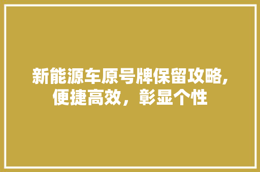 新能源车原号牌保留攻略,便捷高效，彰显个性