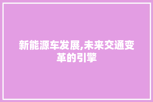新能源车发展,未来交通变革的引擎