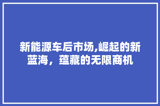 新能源车后市场,崛起的新蓝海，蕴藏的无限商机