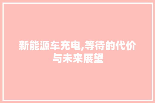 新能源车充电,等待的代价与未来展望