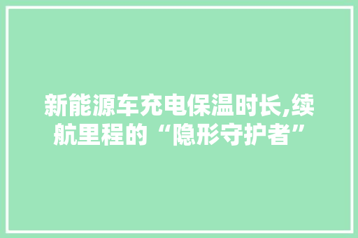 新能源车充电保温时长,续航里程的“隐形守护者” 车型评测