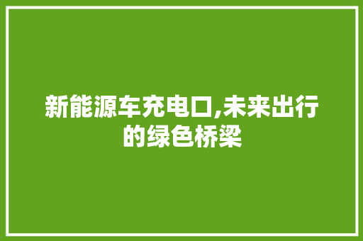 新能源车充电口,未来出行的绿色桥梁 自动驾驶