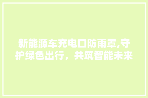 新能源车充电口防雨罩,守护绿色出行，共筑智能未来 自动驾驶