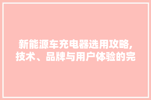 新能源车充电器选用攻略,技术、品牌与用户体验的完美融合