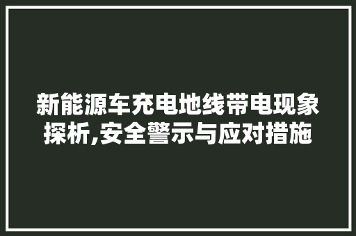 新能源车充电地线带电现象探析,安全警示与应对措施