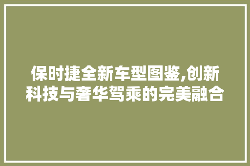 保时捷全新车型图鉴,创新科技与奢华驾乘的完美融合
