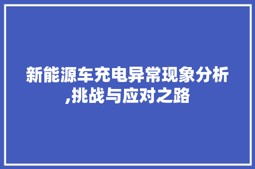 新能源车充电异常现象分析,挑战与应对之路