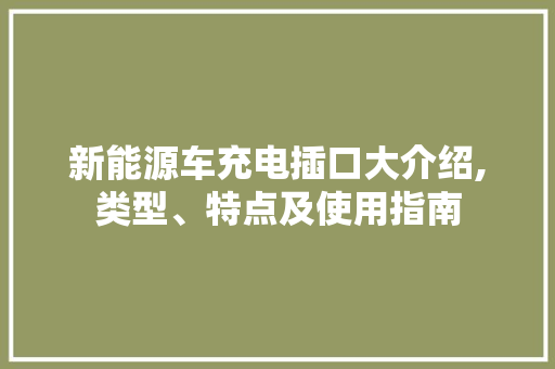 新能源车充电插口大介绍,类型、特点及使用指南