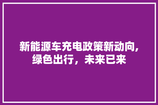 新能源车充电政策新动向,绿色出行，未来已来